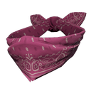 Paisley Bandana